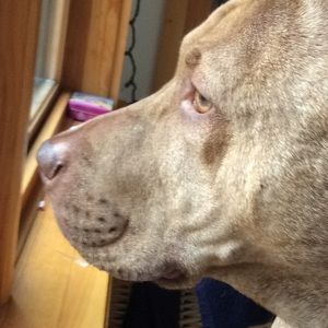 Meet your Posher, Zora